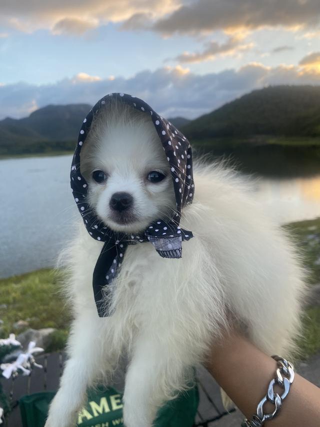 ปอม ชายจริงหญิงแท้ น่ารักๆ 9