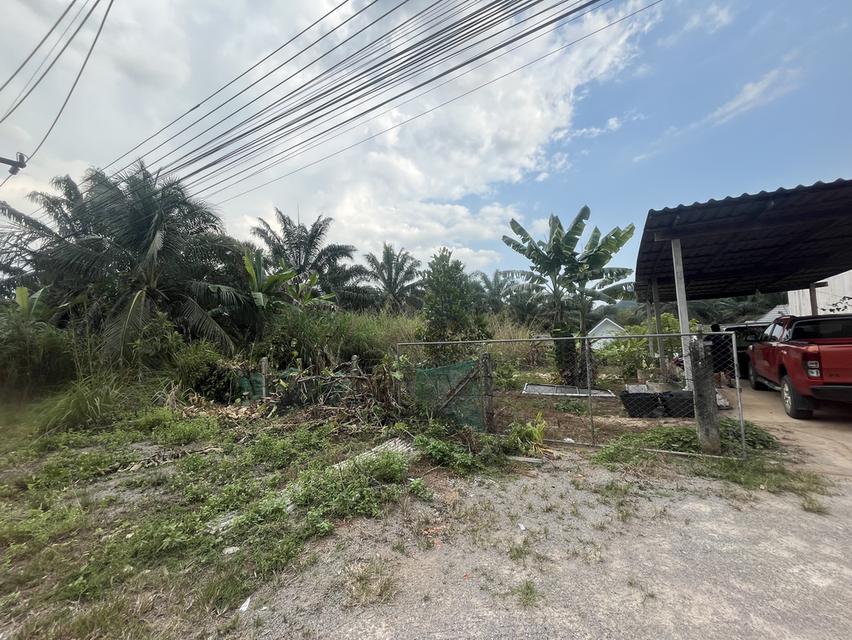 ขายที่ดิน 4 ห้อง land 7