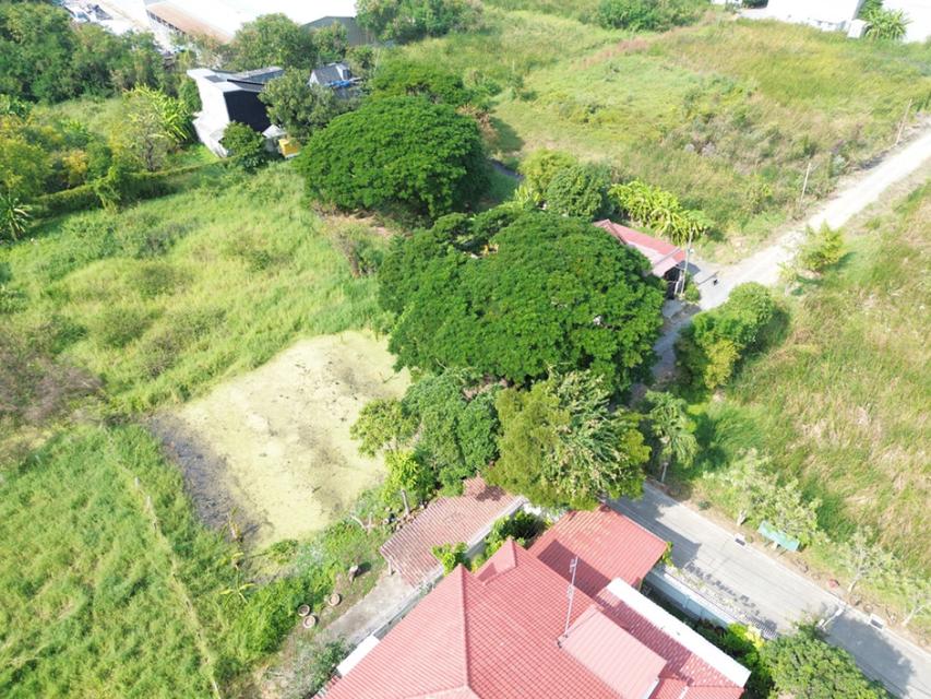 ขายที่ดิน เลียบคลองประปา ชุมชนบ้านใหม่สมานฉันท์6 85.8 ตร.วา ทำเลศักยภาพใกล้ทางด่วน โซนศรีสมาน-เมืองทองธานี (ซ.วัดพระแม่ฯ 5