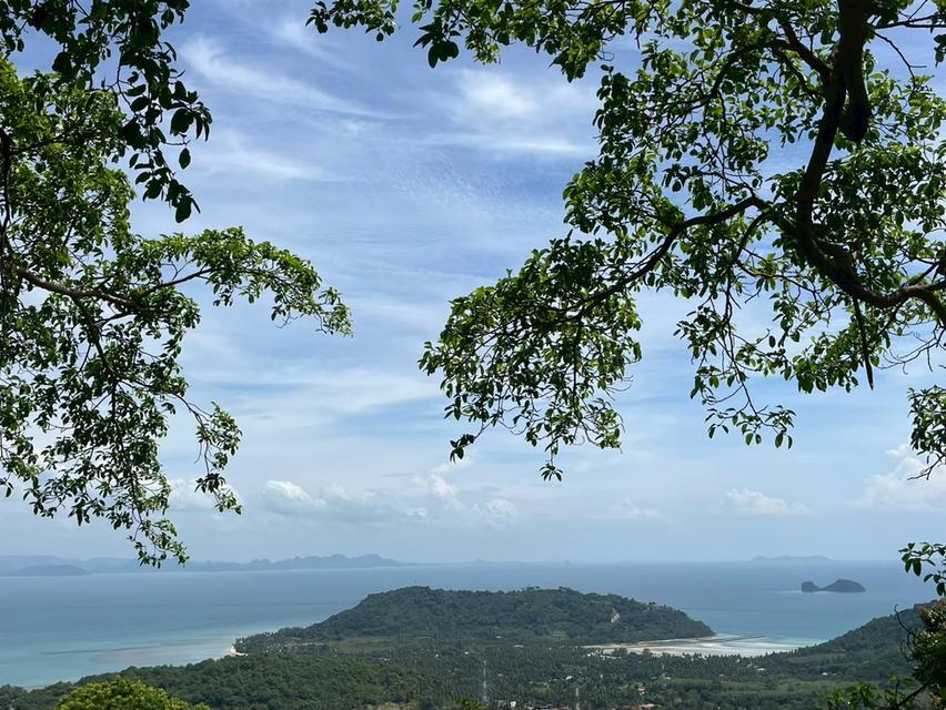 ขายที่ดินวิวทะเล ทำเลทอง เกาะสมุย 8