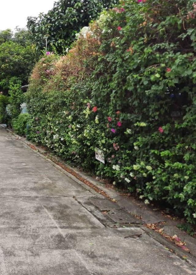 ขายที่ดิน 1 ไร่ ซอยสุขุมวิท64  ที่สวยแปลงสี่เหลี่ยม ใก้ลBTSปุณณวิถี ทางด่วน  1
