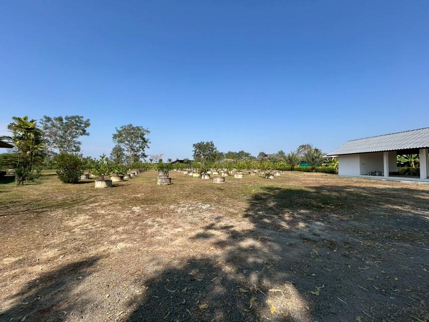 ขายบ้านและพร้อมที่ดิน 17