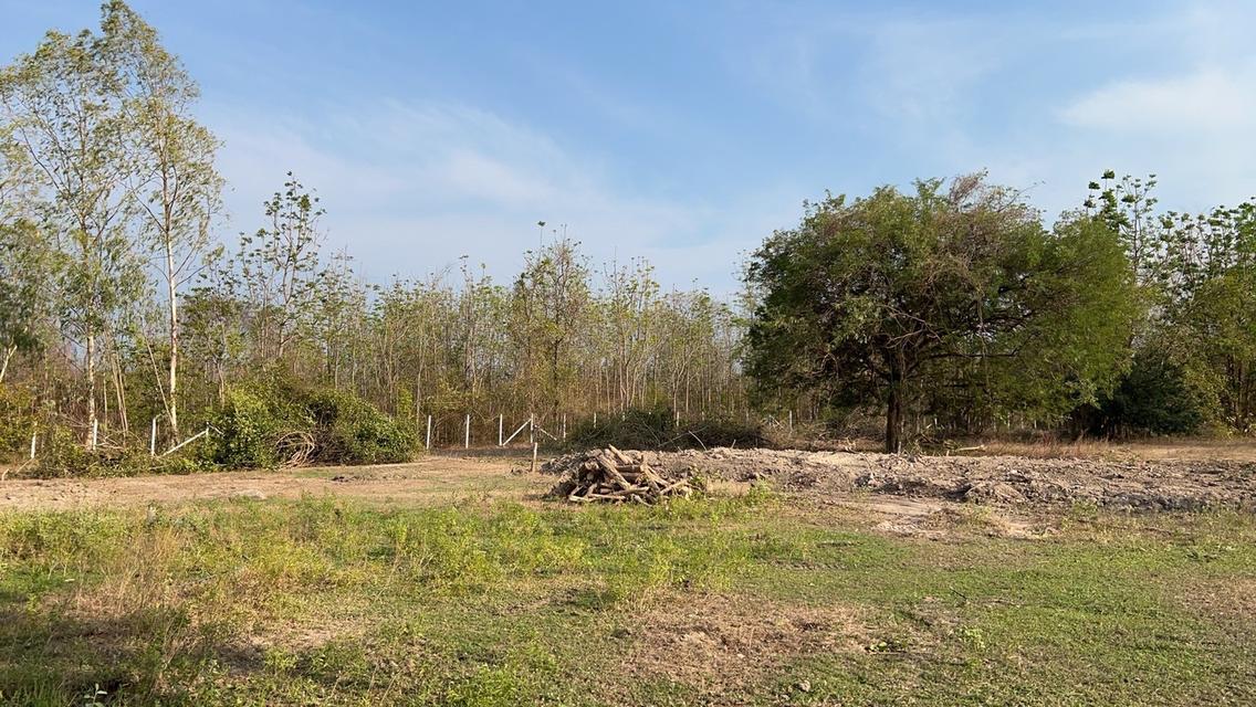 ขายที่ดินอำเภอชะอำ 3 งาน 1.2 ล้านบาท 5