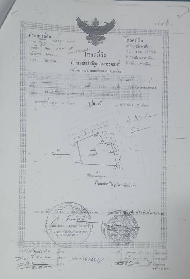 ที่ดิน อ.เมือง จ.นครราชสีมา 7