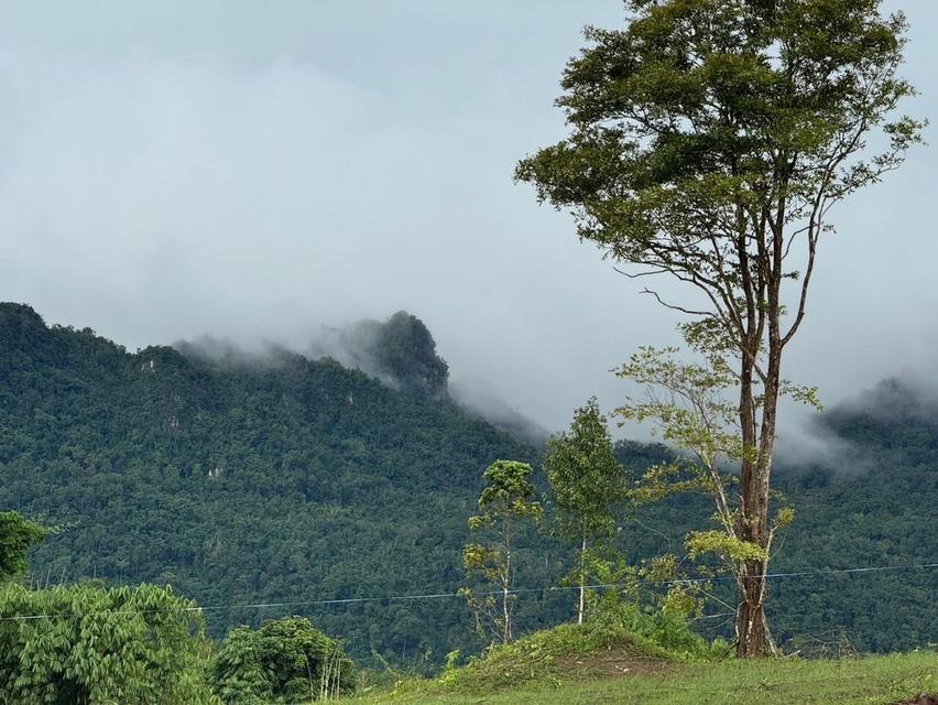 ที่ดินวิวภูเขา ทางขึ้นอีต่อง 3