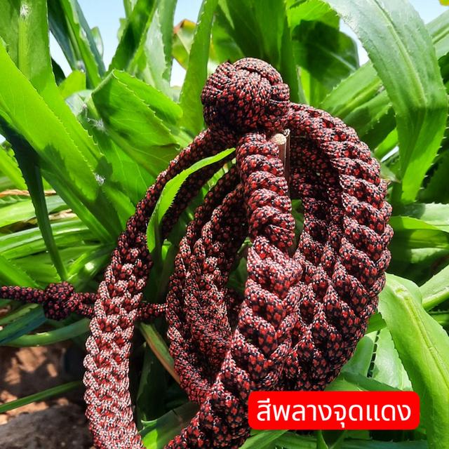 สายตะกรุดคาดเอวลายมังกรมีหัวตะกร้อสำหรับห้อยตะกรุดและวัตถุมงคลหน้ากว้าง2cm ขนาด26-44 ถักจากเชือกพาราคอต550 เพิ่มเสน่ห์ให้เสื้อผ้า