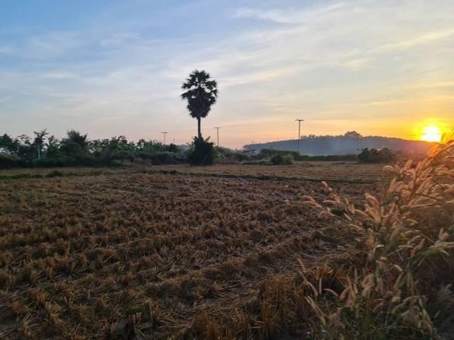 สนใจทรัพย์ดีราคาเงื่อนไขคุยตรงเจ้าของได้ ที่ติดแม่น้ำโขง ต.กุดบง อ.โพนพิสัย จ.หนองคาย หลังติดแม่น้ำโขง ไร่ละ 2ล้านบาท โท 1