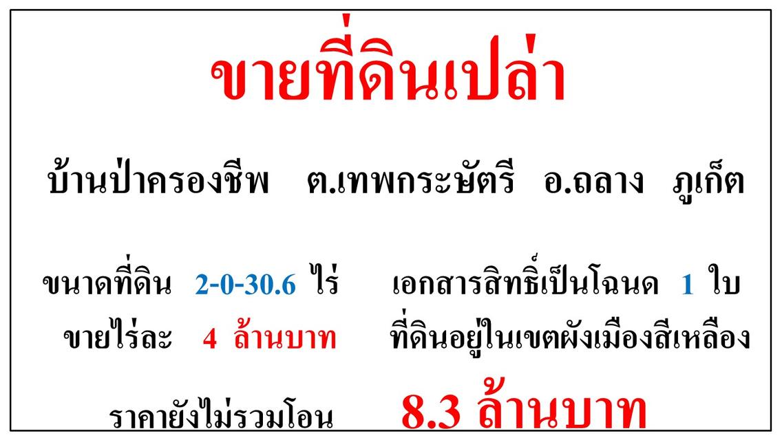 ขายที่ดินเปล่า ขนาด 2-0-30.6 ไร่  แถวบ้านป่าครองชีพ  ต.เทพกระษัตรี  อ.ถลาง  ภูเก็ต 1