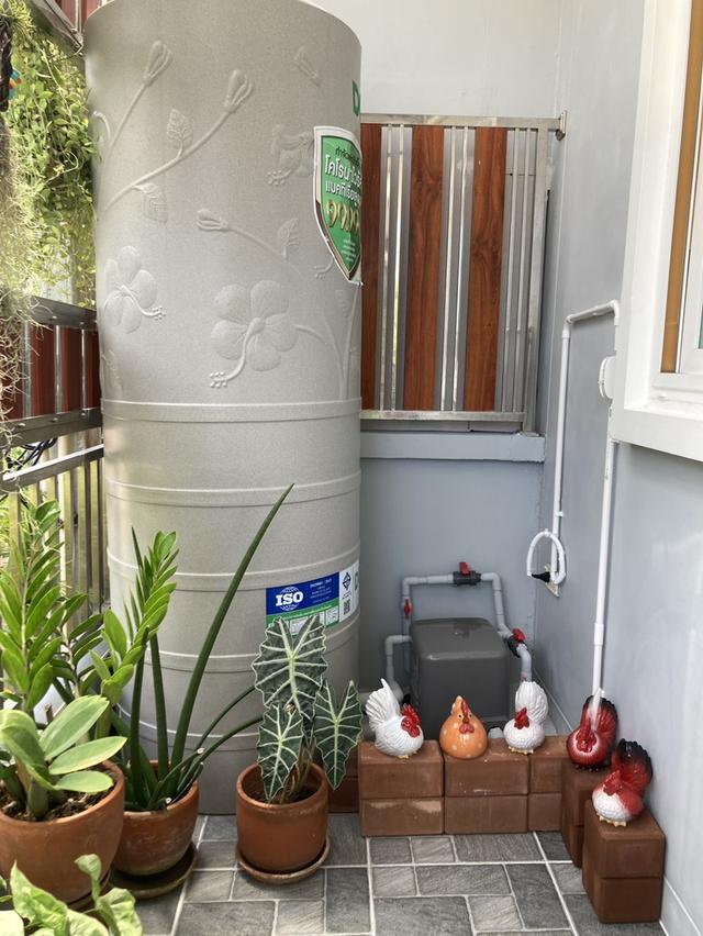 ขายบ้านทาวเฮาส์ 1 ชั้นทำเลทอง ตรงข้ามโรบินสันฉลอง บ้านหลังมุมหน้าสวนหน้าบ้านไม่ติดใครตกแต่งไว้พร้อมอยู่ 3