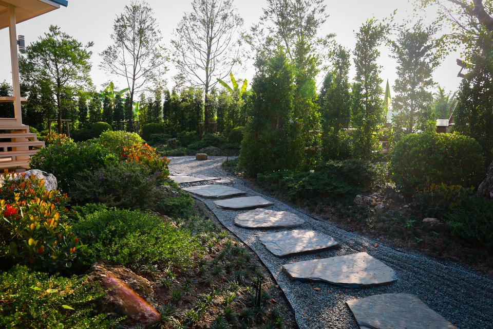 บ้านสวนโมริ ที่ดินสวนเกษตรพัฒนาแล้ว  สองพี่น้อง สุพรรณบุรี 2