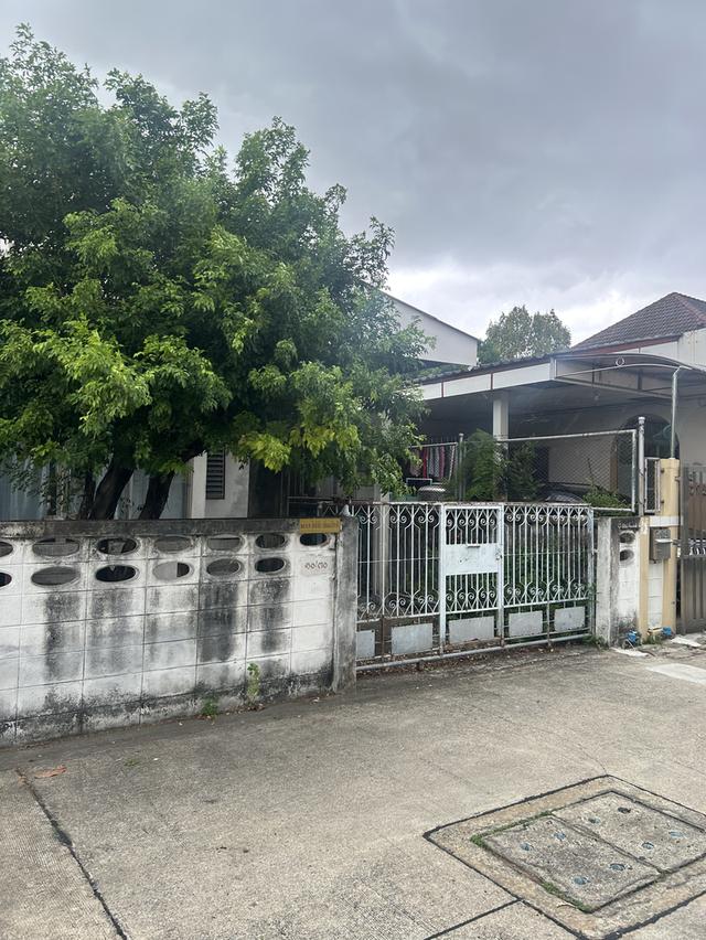 ขายบ้านเดี่ยว ประชาชื่น 38 (50 ตร วา) 1