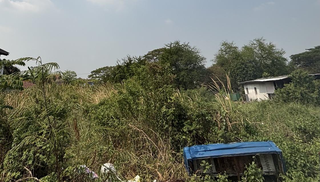 ที่ดินเฉลิมพระเกียรติ 7