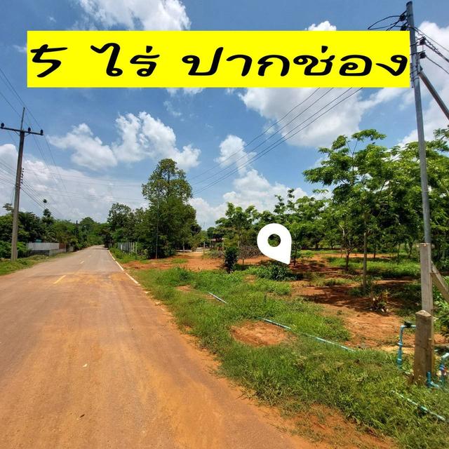 ที่ดินวิวสวย 5 ไร่น้ำ&ไฟ โฉนดพร้อมโอนปากช่อง 1