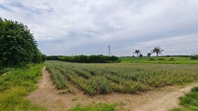 ขายที่ดินหนองอิรุณชลบุรี ขายที่ดินบ้านบึง 15 ไร่ พื้นที่สีเหลือง ที่ดินเหมาะสำหรับสร้างโรงงาน,โกดัง อพาร์ทเม้นท์ 6
