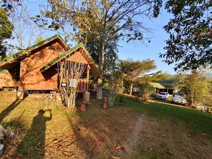 บ้านอิงลม ชมหมอก 1  ซอยไทยสามัคคี คลองย่าโม 1  วังน้ำเขียว 2 ไร่ 3.5 ล้าน 4