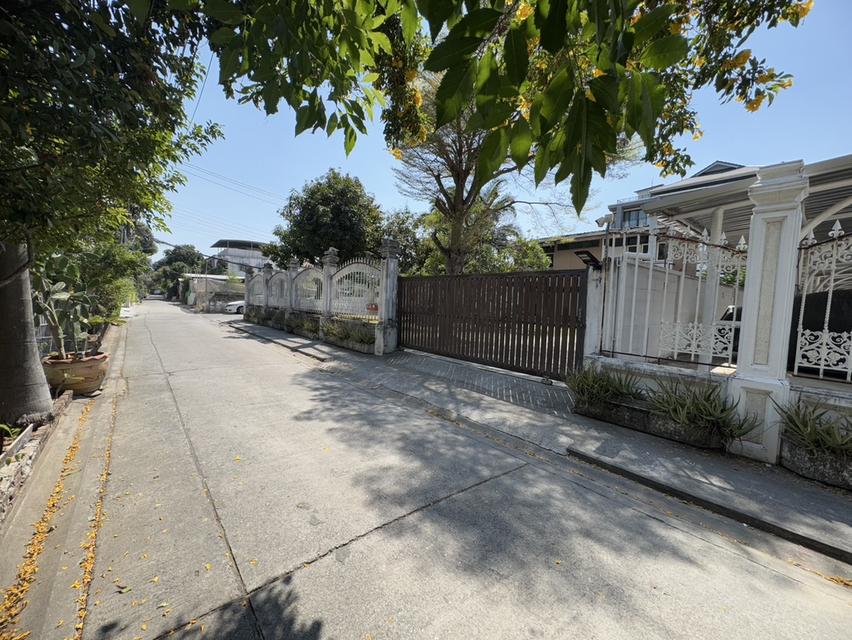 ให้เช่าบ้านเดี่ยว 2 ชั้น พร้อมที่ดิน ซอยสุขุมวิท 97/1 ถนนสุขุมวิท (N.1543) 4