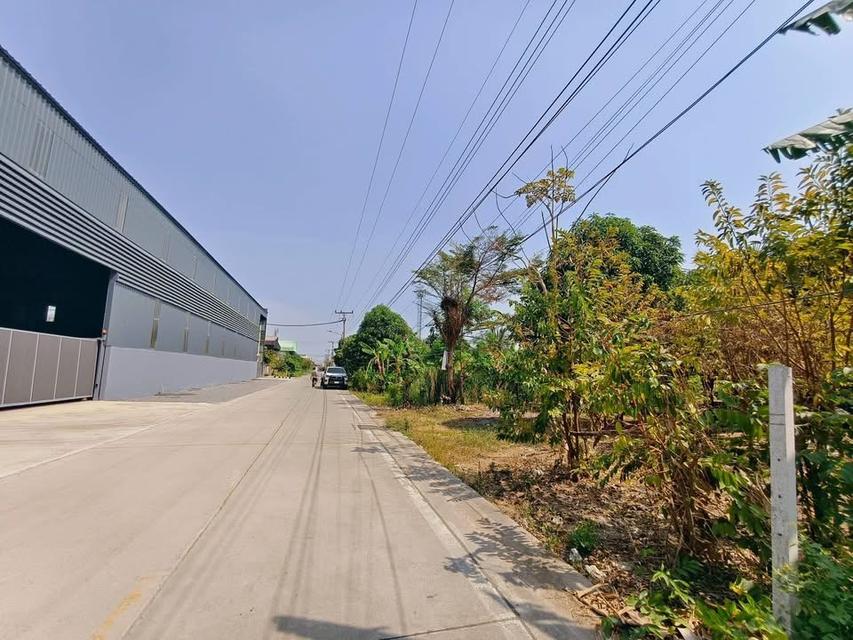 Vายด่วนทีดินใกล้ตลาดไท 509 ตารางวา ซอยเทพกุญชร2 คลองหลวง ปทุมธานี 2