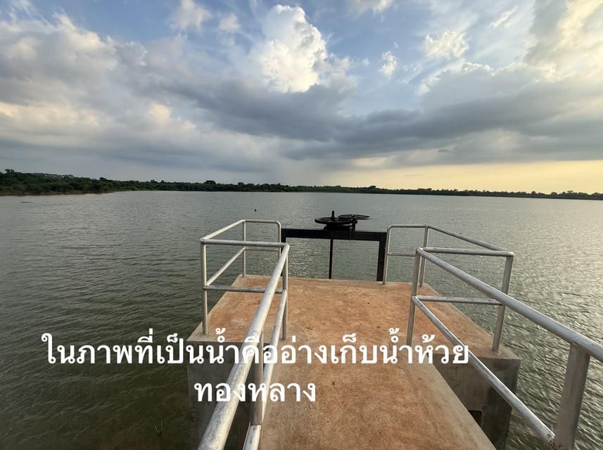 ## 🌿 ประกาศขายที่ดินติดอ่างเก็บน้ำห้วยทองหลาง  ตำบลบ้านกอก อำเภอจัตุรัส จังหวัดชัยภูมิ 6