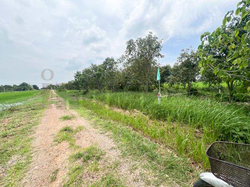 ขาย ที่ดินจัดสรร ลำลูกกา คลอง16 องครักษ์ 9