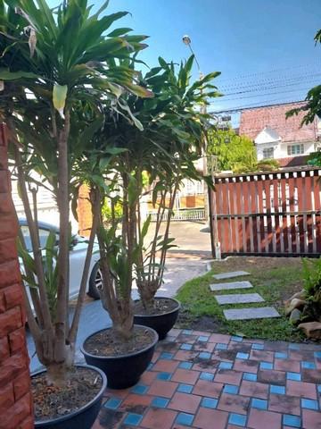 ให้เช่า บ้านเดี่ยว2ชั้น 63ตรว. ถนนเกษตร-นวมินทร์ (ประเสริฐมนูกิจ42) ใกล้เลียบทางด่วนรามอินทรา 3