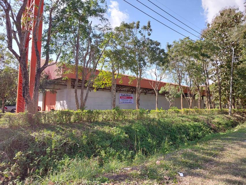 ขาย/ให้เช่าที่ดินเชียงราย 5