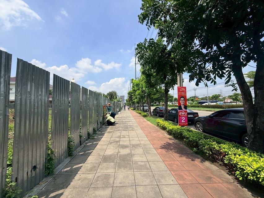 ขายด่วนที่ดิน 704 ตรว ติดถนนพุทธมณฑลสาย 2 ถนนพุทธมณฑลสาย 2 เขตบางแค กทม 4