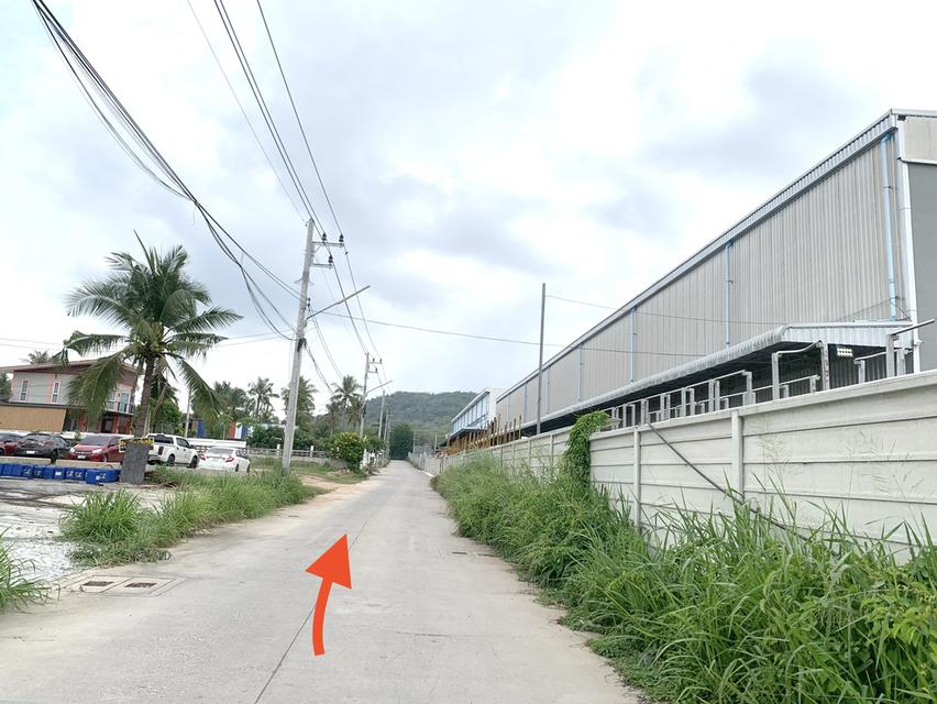 ขายที่ดินศรีราชาพื้นที่สีม่วง เนื้อที่ 35-3-71ไร่ + 8ไร่(พื้นที่สีม่วง) 6