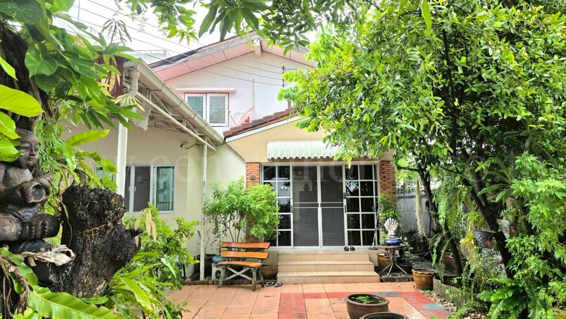 บ้านเดี่ยว สุขุมวิท 65 ซอยชัยพฤกษ์ ใกล้ BTS เอกมัย 3