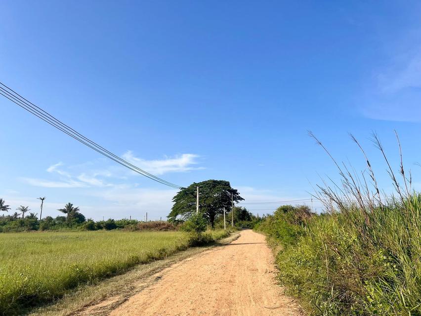 ที่ดิน กุยบุรี ประจวบคีรีขันธ์ ขนาด 1 ไร่ 1 งาน 289,000 บาท 16