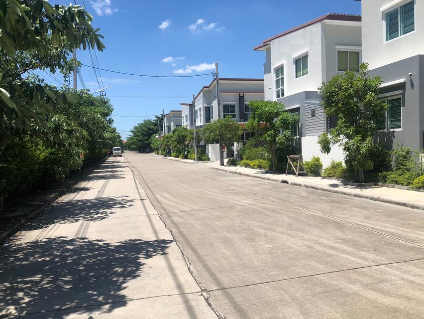 ทาวน์เฮาส์แฝดสไตล์บ้านเดี่ยว 17