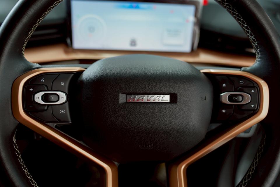 HAVAL Hybrid HEV ULTRA 13