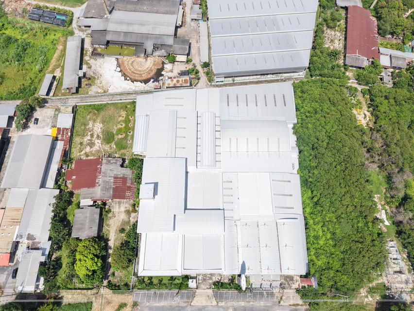ขายโชว์รูม TOYOTA ชลุบรี (บางแสน) 15