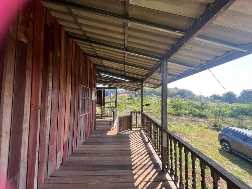 บ้านเดี่ยวพร้อมที่ดิน 3ห้องนอน3ห้องน้ำ 9