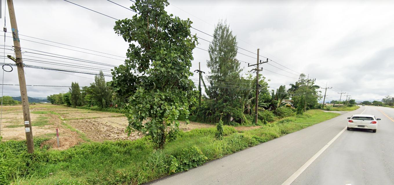 ขายที่ดินเปล่า ตำบลปล้อง อำเภอเทิง  จังหวัดเชียงราย 2