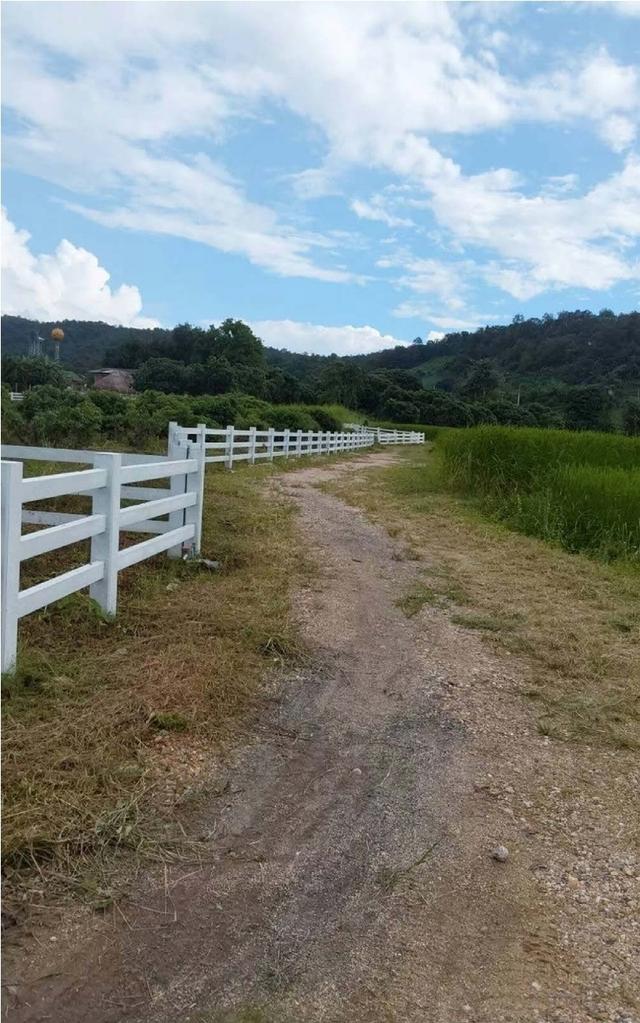 ขายที่ดินอ.เชียงดาว​ จ.เชียงใหม่ 10