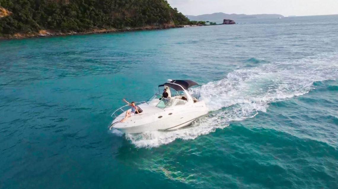 เรือยอร์ช Searay Sundancer 275 2