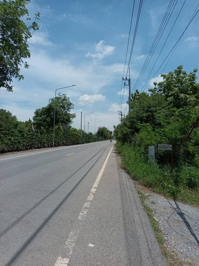ที่ดิน หนองเสือ ปทุมธานี ขนาด 50 ตร.วา 290,000 11