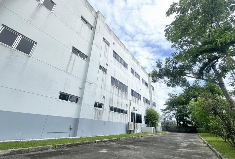 ขายโรงงานอุตสหกรรม ขายโรงงานอุตสหกรรม โรงงานผลิต/โกดังสินค้า พื้นที่สีม่วง ที่ตั้ง: นำไกร, ลาดกระบัง 4