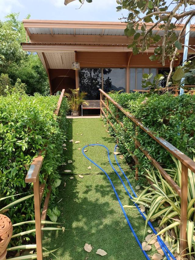 ขายที่ดินพร้อมบ้าน 3 หลัง เนื่อที่ 9 ไร่ 3 งาน 39 ตรว. 2