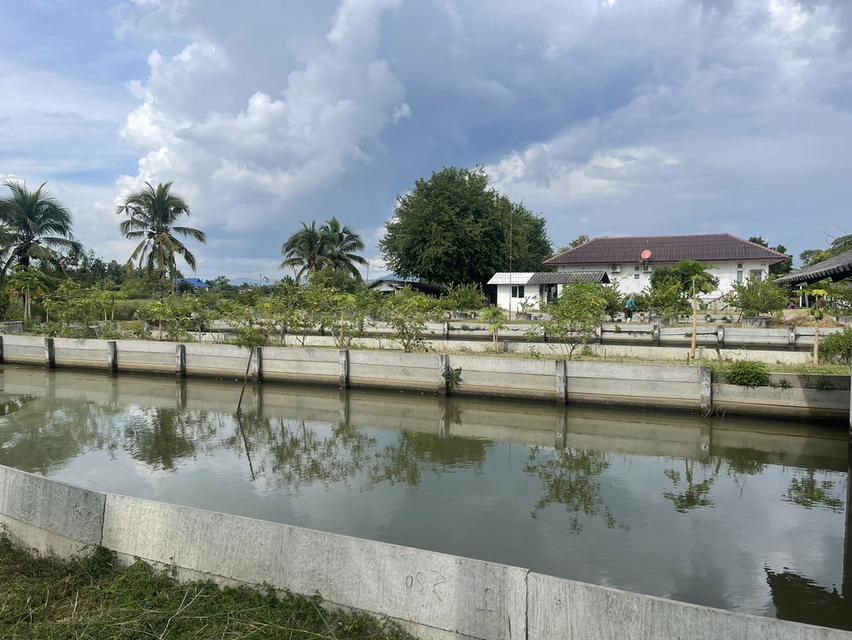 🏡ขายที่ดินพร้อมบ้านสวน พร้อมเข้าอยู่ 👩‍🌾👨‍🌾  📍ตำบล สง่าบ้าน อำเภอดอยสะเก็ด จังหวัดเชียงใหม่ 16