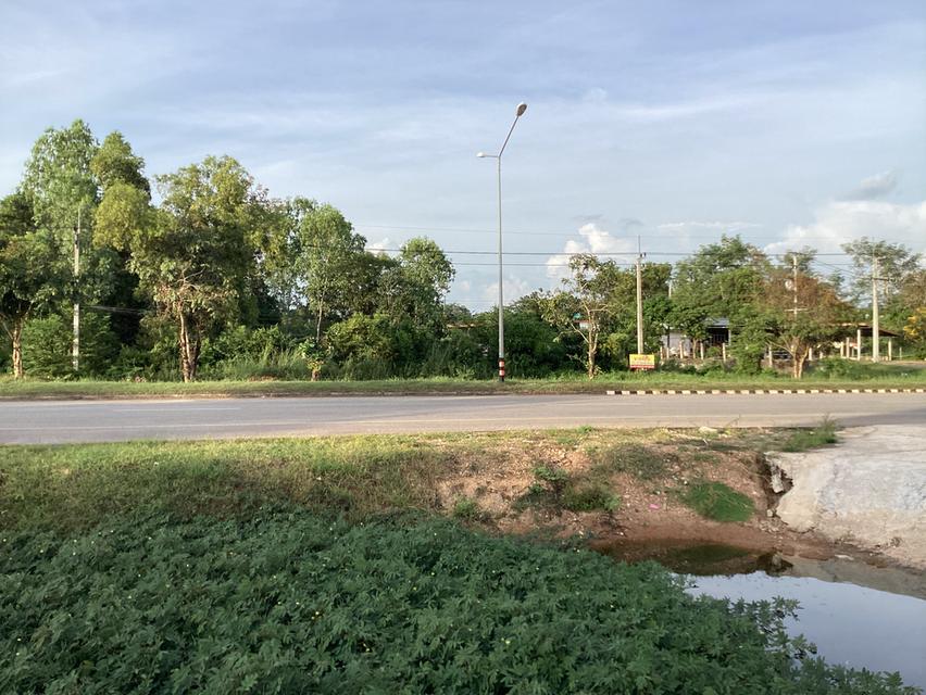 ขายที่ดินติดถนนเมนหลักใกล้สถานีรถไฟใหม่ “นครพนม” 4