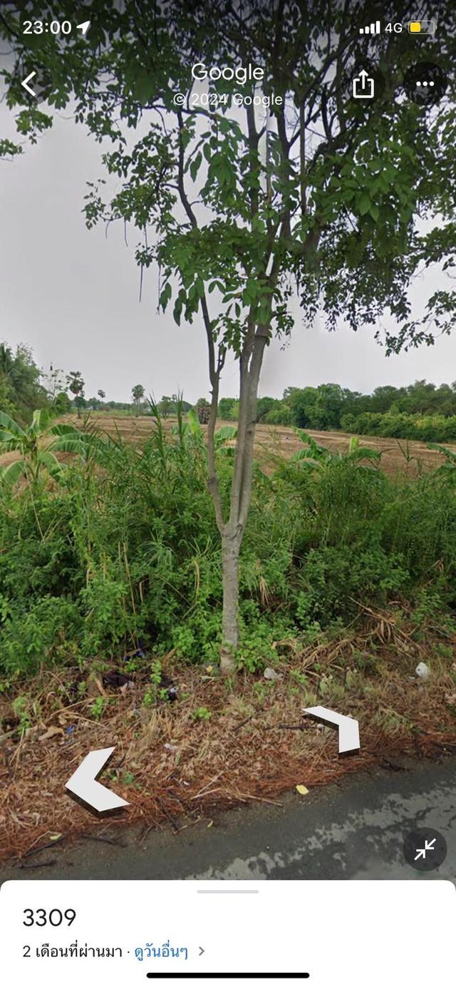 ที่ดิน 1