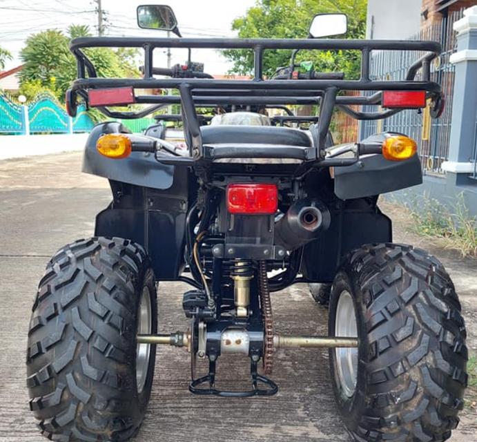 ATV K-Lion Rider  150 CC Auto 5