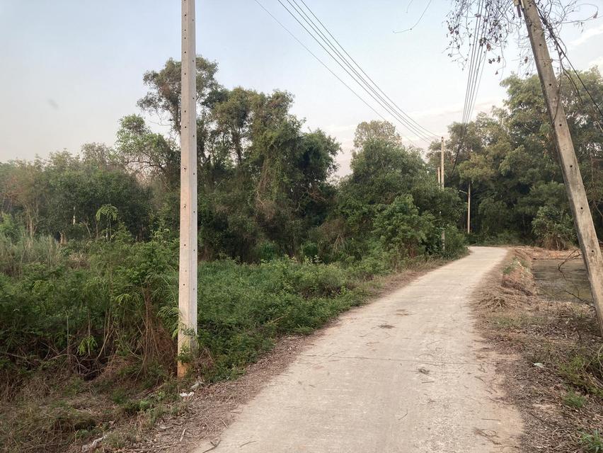 ขาย ที่ดิน ทำเล ตำบลท่าถ่าน พนมสารคาม ฉะเชิงเทรา 3