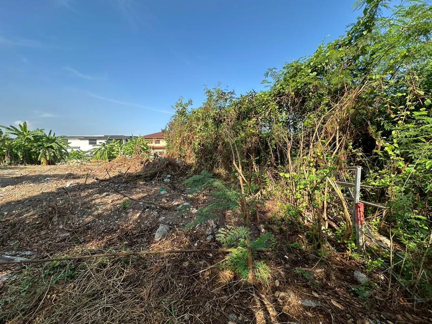 ที่ดินเปล่า 353 ตร.ว. แปลงสวย ถนนแบริ่ง - ลาชาล (ซอย แบริ่งตัดใหม่ 7) ใกล้BTS แบริ่ง 6