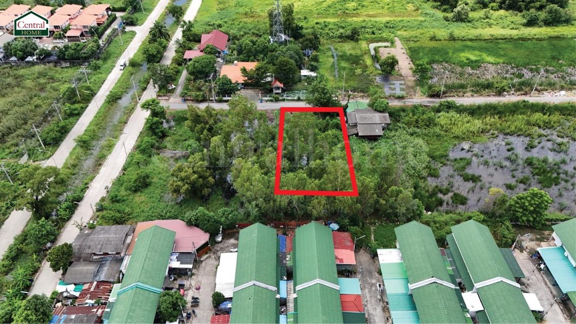 ที่ดินเปล่า 285 ตร.วา ซอยบงกช 55 คลอง 2 ปทุมธานี 3