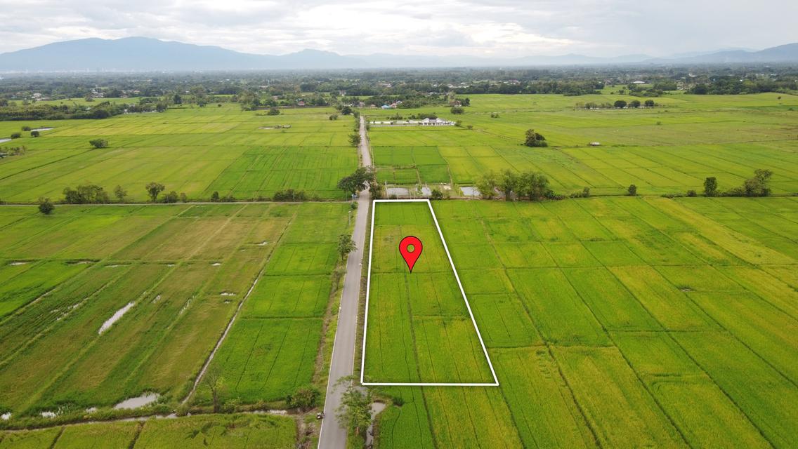 🌄 ขายที่ดิน 2-3-49 ไร่ น้ำ-ไฟ-เน็ตพร้อม หน้ากว้างติดถนนสุดๆ 3