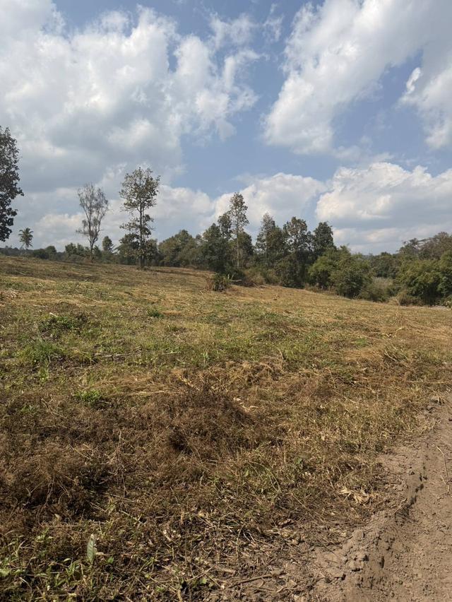 ที่ดินแปลงใหญ่ ติดถนนหลวง 118 เชียงใหม่–เชียงราย (แม่ขะจาน) 32 ไร่ 1 งาน 92 ตร.วา 5