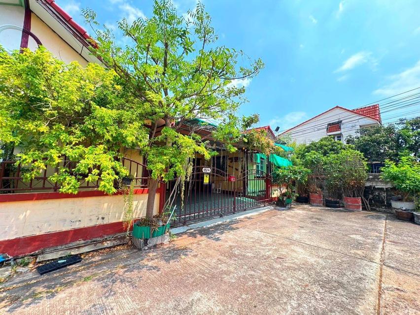 ขายบ้านชั้นเดียว 2 หลังเชื่อมถึงกัน (โฉนดเดียว) พื้นที่ใหญ่ 41.6 ตร.วา 2