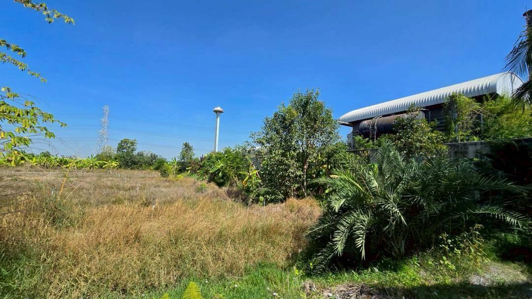 ขายด่วนที่ดินผังสีม่วง 466 ตรว ติดถนนลาดยางสาธารณะ ถนน นบ.3015 อ ไทรน้อย จ.นนทบุรี 7